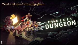 Wie kann das Problem behoben werden, dass Endless Dungeon die Einladun