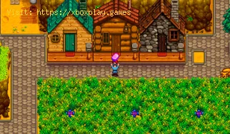 Wie bekomme ich Heu in Stardew Valley?