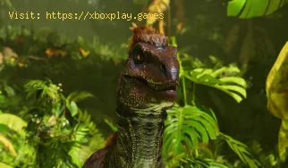 Comment réparer ARK Survival remonté de la mémoire vidéo