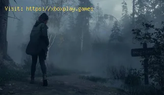 Wie verwende ich die Taschenlampe in Alan Wake 2?