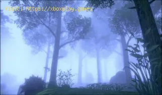 Pokemon Sword and Shield: Cómo obtener niebla - consejos y trucos