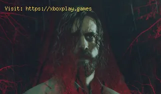 Wie kann man Mayor Setter in Alan Wake 2 streicheln?
