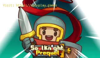 So beheben Sie den Soul Knight Prequel-Fehlercode 6 – Konfigurations