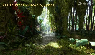 Comment obtenir le fruit de la fortune dans Avatar Frontiers of Pandor