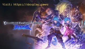 Wie behebt man den Granblue Fantasy versus Rising-Fehler 010e-0000?