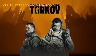 Cómo reparar el código de error 103003 de Escape from Tarkov