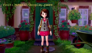 Pokemon Sword and Shield: Wie lange dauert es, bis es fertig ist?