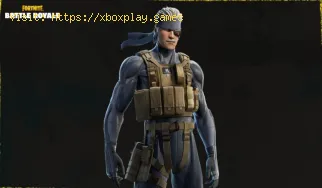 Wie behebt man den Fortnite-Fehlercode ESP-DIST-001?