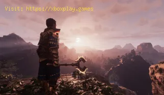 Cómo funciona la comodidad en Enshrouded