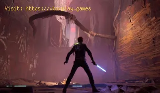Star Wars Jedi Fallen Order: Wo Dathomir Truhen zu finden sind