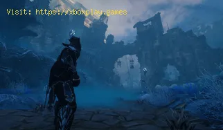 Cómo arreglar la cooperativa en línea no funciona de Enshrouded