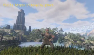 Cómo configurar un servidor en Enshrouded