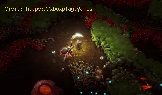 Cómo reparar error Deep Rock Galactic Survivor no pudo unirse al serv