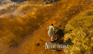 How To Defeat the Automaton Bishop in Nightingale
