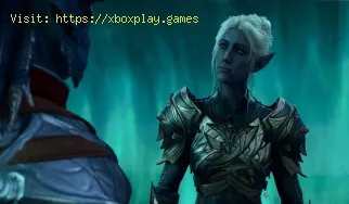 Cómo conseguir la novia del asesino en Baldur's Gate 3