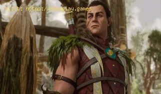 Cómo obtener el periámetro de cierre de heridas en Baldur's Gat
