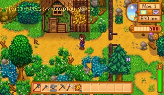 So finden Sie den großen Baum in Stardew Valley