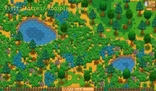 So erhalten Sie Stardrop-Tee in Stardew Valley