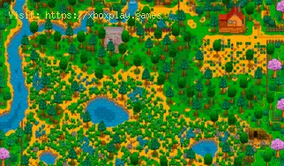 Comment obtenir des coquilles Nautilus dans Stardew Valley