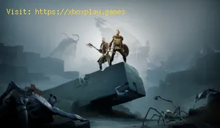 Ashen: Wo finde ich alle Talismane?