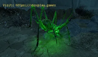 Where to Find Glowing Creatures in Fallout 76