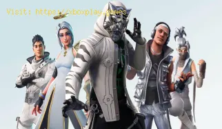 Fortnite: Comment jouer en mode écran partagé sur PS4 et Xbox