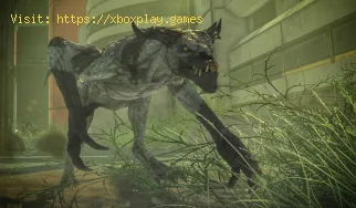 Dove trovare i diavoli minori in Fallout 76