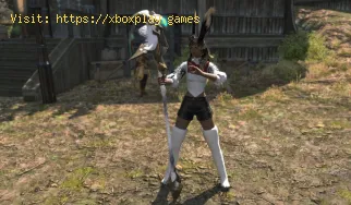 Elevating Your FFXIV Adventure with Simple Carry’s Premium Boosting 