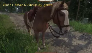 So bekommen Sie ein Pferd in Kingdom Come Deliverance