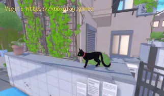 So erhalten Sie die Entenküken in Little Kitty, Big City