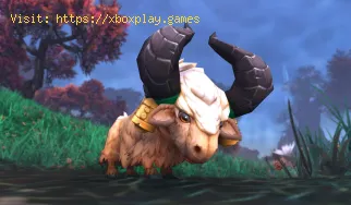 Cómo arreglar World of Warcraft "World Server no funciona"