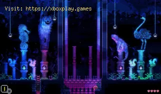 Come rompere i blocchi di vetro in Animal Well