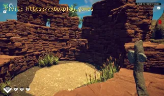Comment obtenir de l'eau potable dans Survival Fountain of Youth