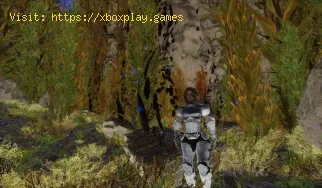 Come ottenere petrolio al Centro in Ark Survival Ascended?