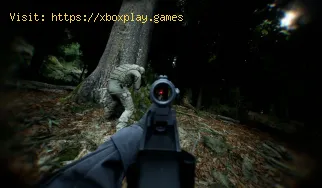 Wie behebt man Bodycam-FPS-Einbrüche?