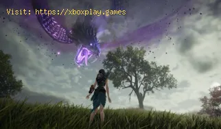 Wie behebt man den Paketverlust von Blade and Soul Neo Classic?