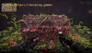 Wie verzaubert man Erbstücke in Dungeonborne?