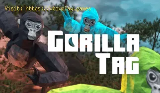 So beheben Sie nicht funktionierende Gorilla Tag-Mods
