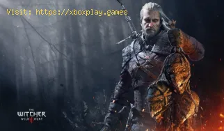 The Witcher 3: Alla ricerca delle rovine della fortezza vicino al faro
