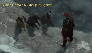 How to equip a pet in Diablo 4