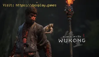 So beheben Sie den schwarzen Bildschirm von Black Myth Wukong