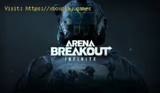 So beheben Sie das Problem, dass die Arena Breakout Infinite-Grafikkar