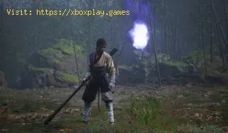 So absorbieren Sie Geister in Black Myth Wukong Benchmark Tool