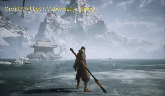 So beheben Sie das langsame Entpacken von Black Myth Wukong Steam