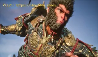 Wie man himmlische Medizin in Black Myth Wukong herstellt
