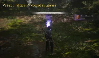 So beheben Sie, dass Black Myth Wukong keine Geister ohne Anleitung au