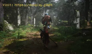 So besiegt man den Wandering Wight in Black Myth Wukong