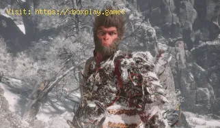 So finden Sie alle Geister in Black Myth Wukong
