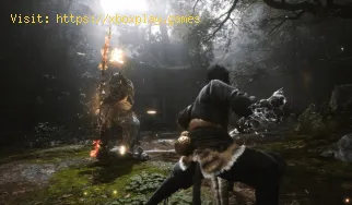 Beste Grafikeinstellungen in Black Myth Wukong