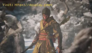 So finden Sie alle Elementarkarren in Black Myth Wukong